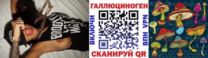 Псилоцибиновые грибы Cubensis купить цена Карабаш